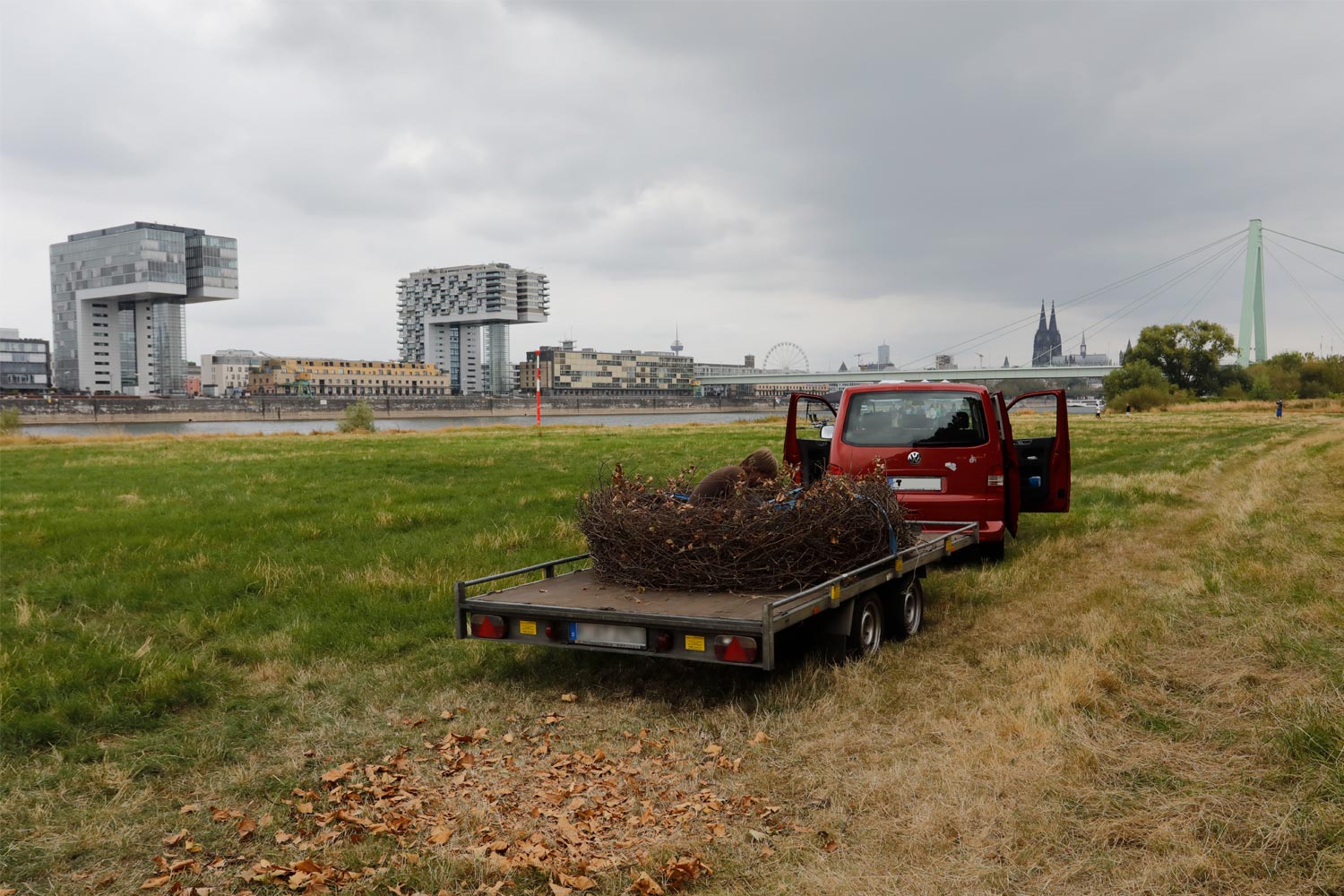 Menschennest Pop-Up