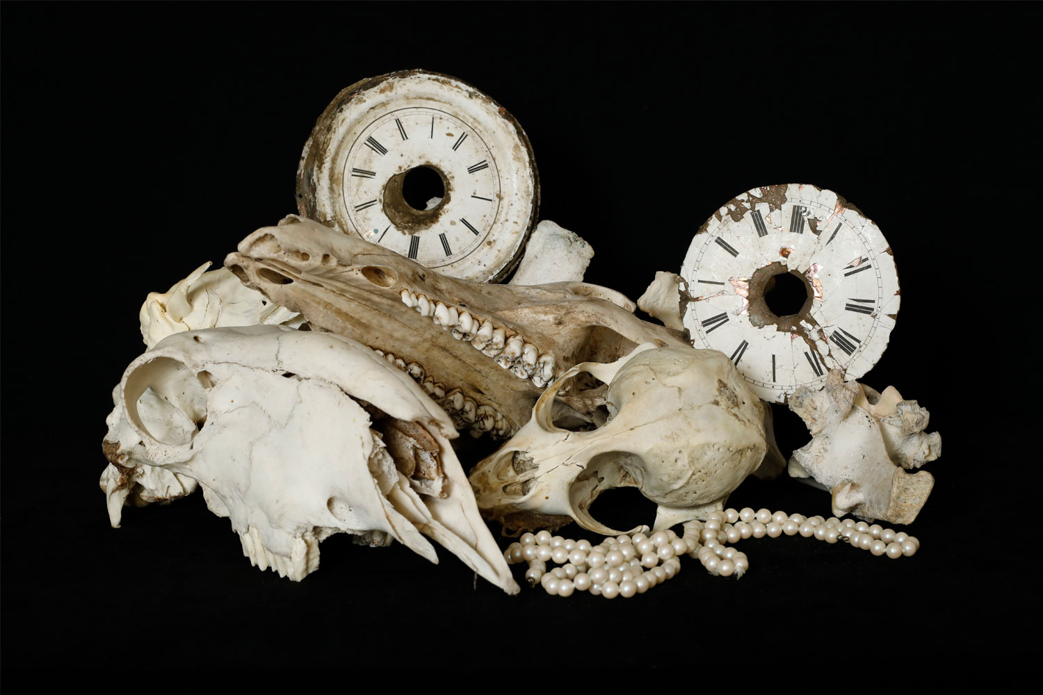 ECHANGE PARIS/BONN : NATURA MORTA