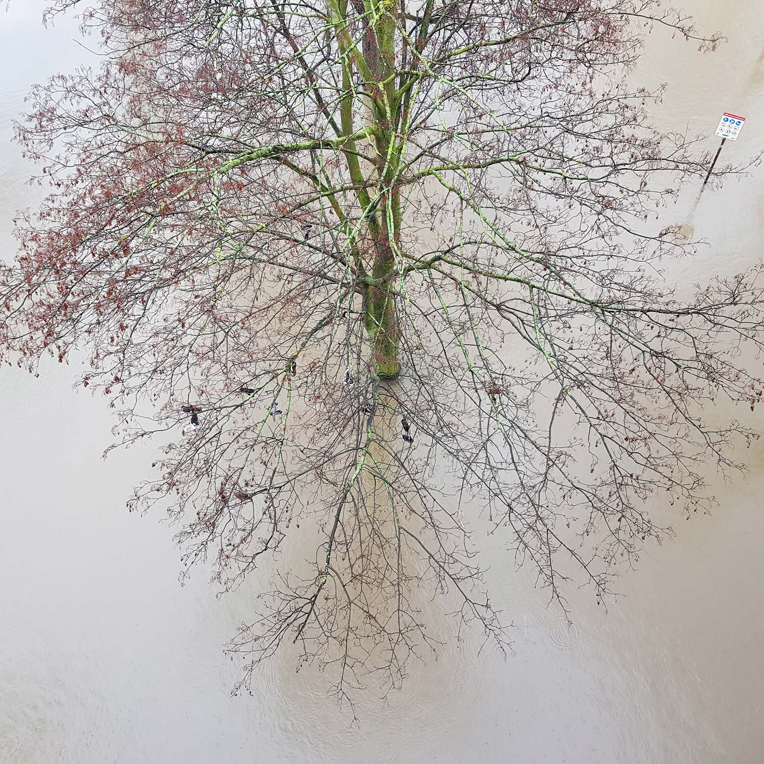 Fotoarbeit - Schuhe im Wind